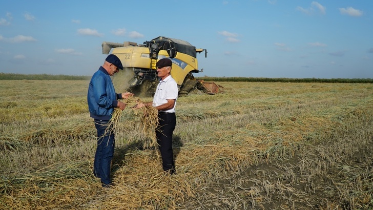 В Дагестане запустили рисоперерабатывающие заводы